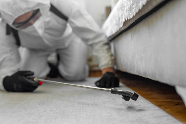 Professional Cockroach Control technician working in Applewood, CO